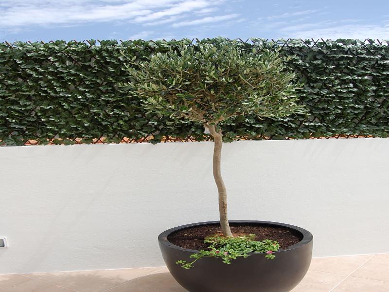 נאזרה Villas Mare Residence מראה חיצוני תמונה